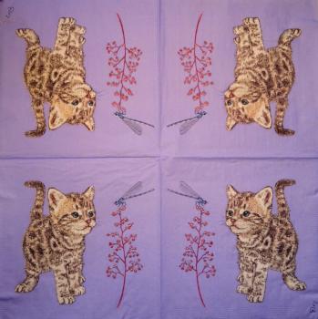 KAT-381 Katzen - 3-lagig - ppd - Charlotte Galloux